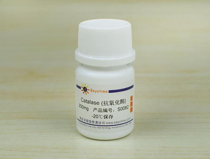 Catalase (抗氧化酶)